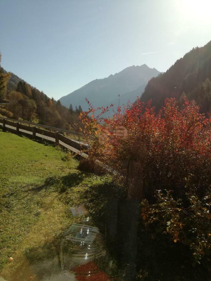 Ferienhaus Am Wallnerhof Flattach Ngoại thất bức ảnh